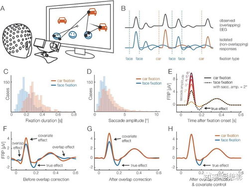 思影科技眼動(dòng)數(shù)據(jù)處理服務(wù)與軟件開(kāi)發(fā)，賦能精準(zhǔn)視覺(jué)洞察